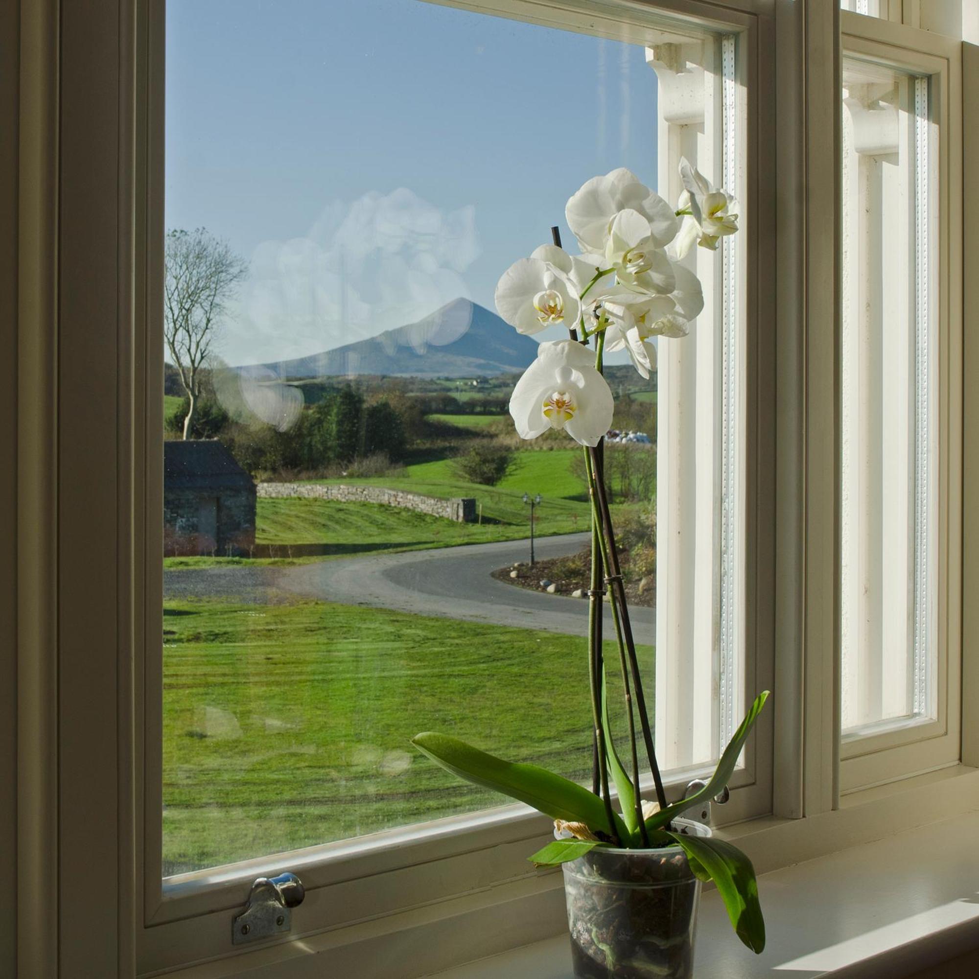 Westport Country Lodge Hotel Экстерьер фото